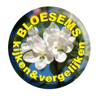 bloesemkijken